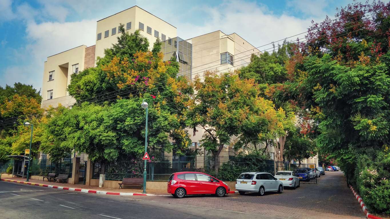 מצוקת חניה רמת השרון